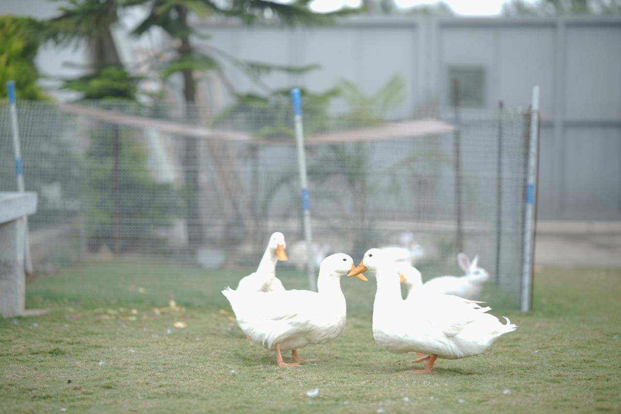 ホテル ロイヤル ロータス ビュー レソテル Devanahalli エクステリア 写真